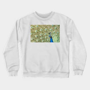 Peacock Display Crewneck Sweatshirt